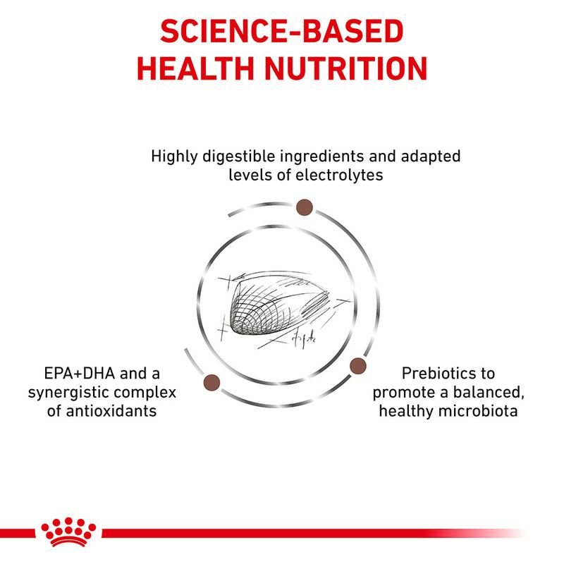 Royal Canin Veterinary Cat - Gastrointestinal || Royal Canin Veterinary Diet || view 5