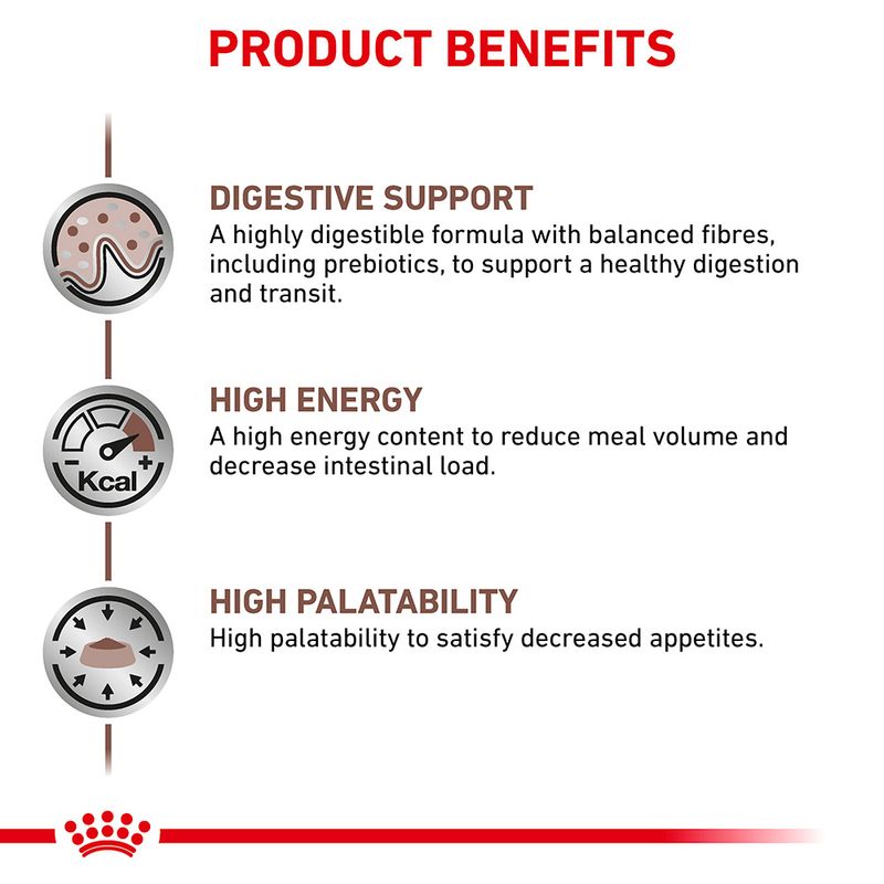 Royal Canin Veterinary Cat - Gastrointestinal || Royal Canin Veterinary Diet || view 6