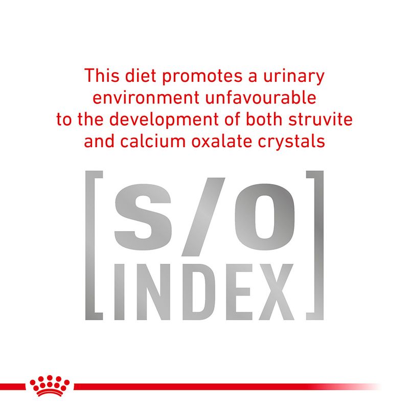 Royal Canin Veterinary Cat - Gastrointestinal || Royal Canin Veterinary Diet || view 7