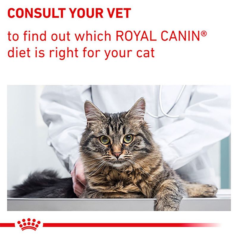 Royal Canin Expert Feline - Neutered Satiety Balance || Royal Canin Veterinary Diet || view 11