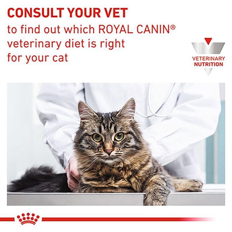 Royal Canin Veterinary Cat - Satiety Support || Royal Canin Veterinary Diet || view 10