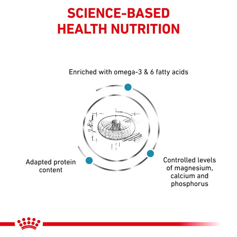 Royal Canin Veterinary Feline Skin & Coat || Royal Canin Veterinary Diet || view 2