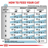 Royal Canin Veterinary Feline Skin & Coat || Royal Canin Veterinary Diet || view 5