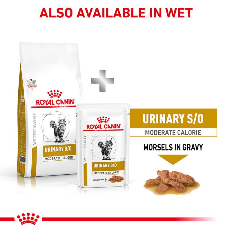 Royal Canin Veterinary Cat - Urinary S/O Moderate Calorie || Royal Canin Veterinary Diet || view 6