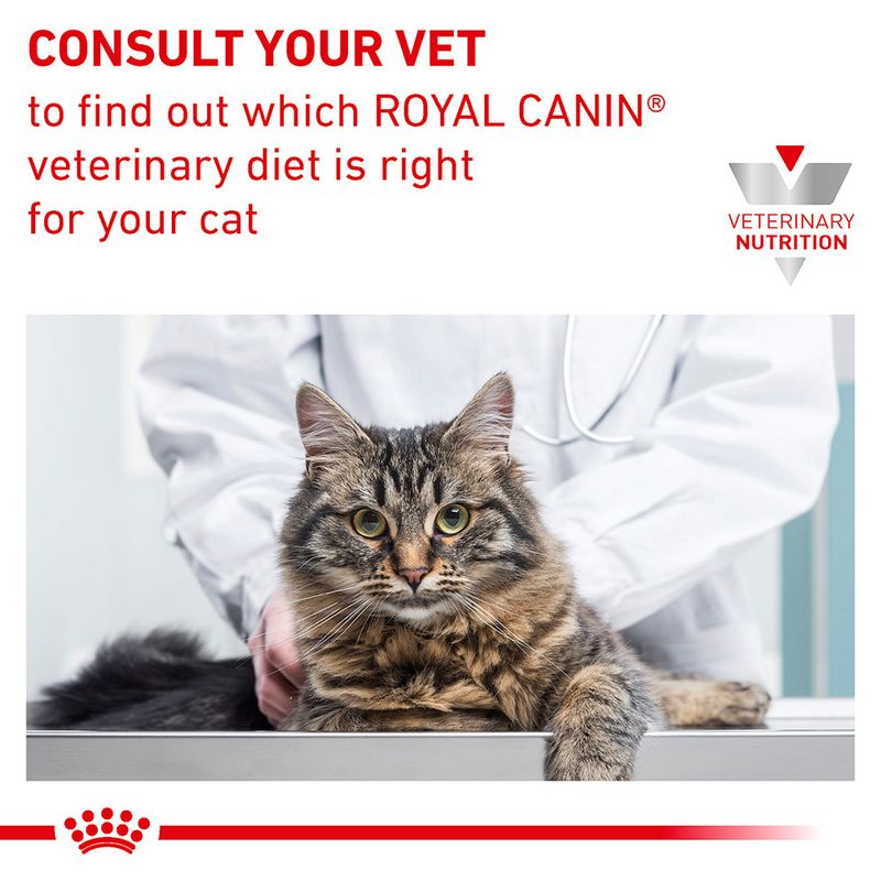 Royal Canin Veterinary Cat - Urinary S/O Moderate Calorie || Royal Canin Veterinary Diet || view 7