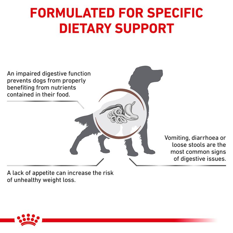 Royal Canin Veterinary Dog - Gastrointestinal || Royal Canin Veterinary Diet || view 4
