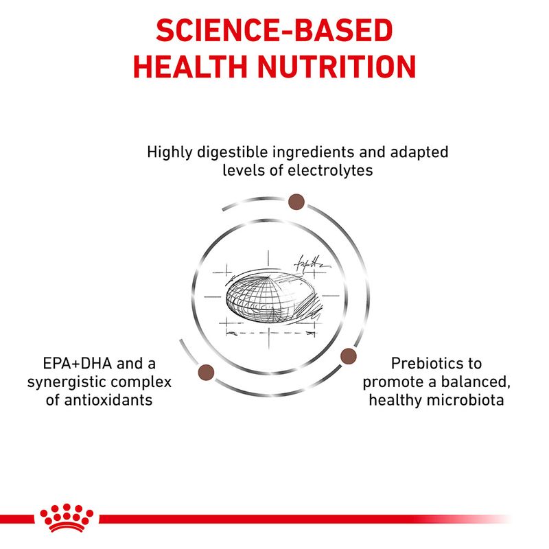 Royal Canin Veterinary Dog - Gastrointestinal || Royal Canin Veterinary Diet || view 5