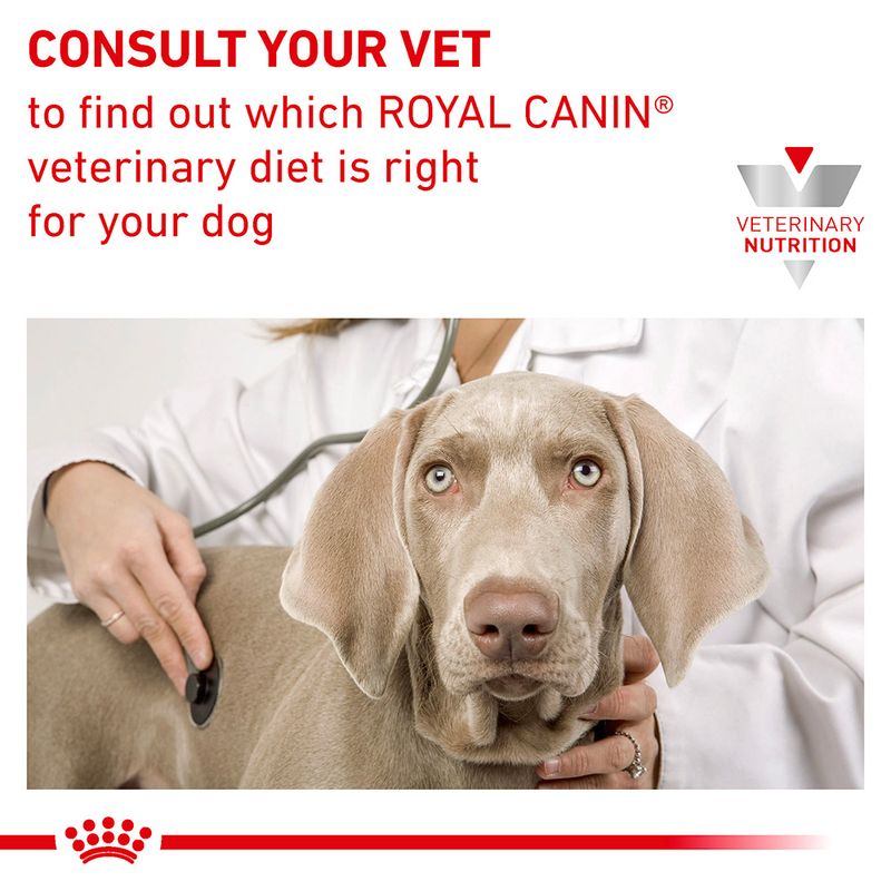 Royal Canin Veterinary Dog - Gastrointestinal Puppy || Royal Canin Veterinary Diet || view 9