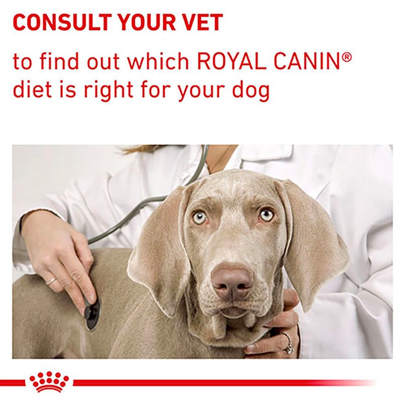 Royal Canin Expert - Neutered Adult Small Dog || Royal Canin Veterinary Diet || view 9