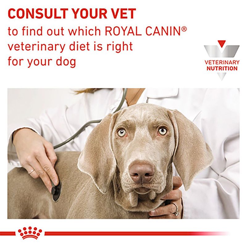 Royal Canin Veterinary Dog - Urinary S/O LP 18 || Royal Canin Veterinary Diet || view 9