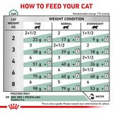 Royal Canin Veterinary Cat - Diabetic || undefined || view 5