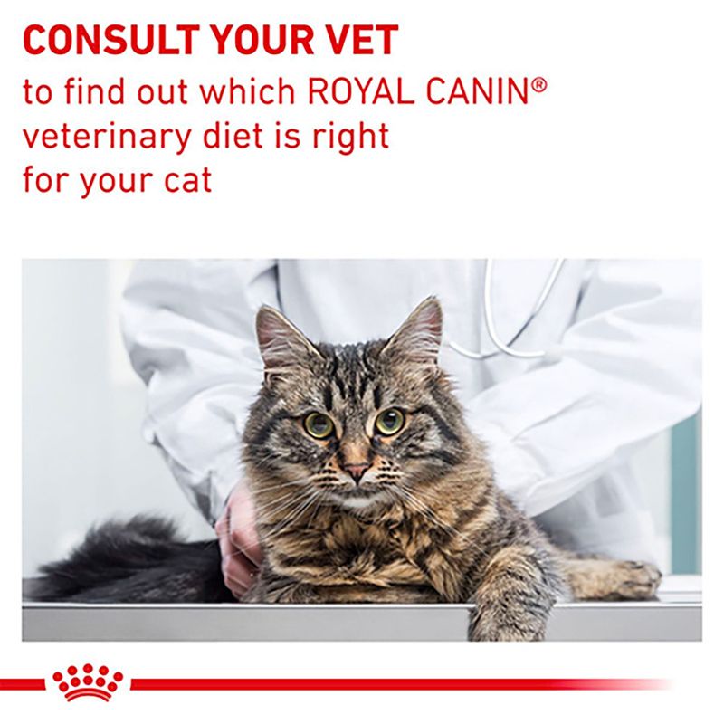 Royal Canin Expert - Mature Consult Balance || undefined || view 7