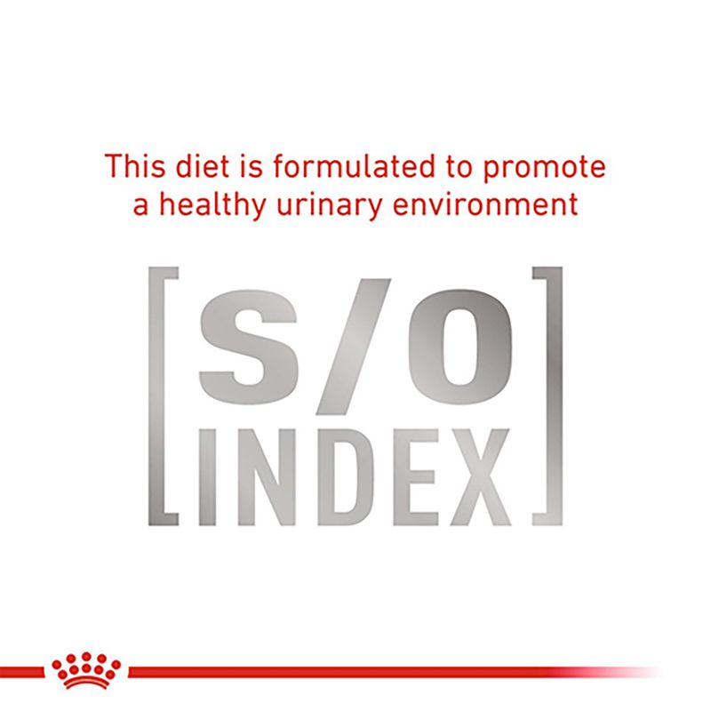 Royal Canin Veterinary Cat - Satiety Weight Management || undefined || view 5