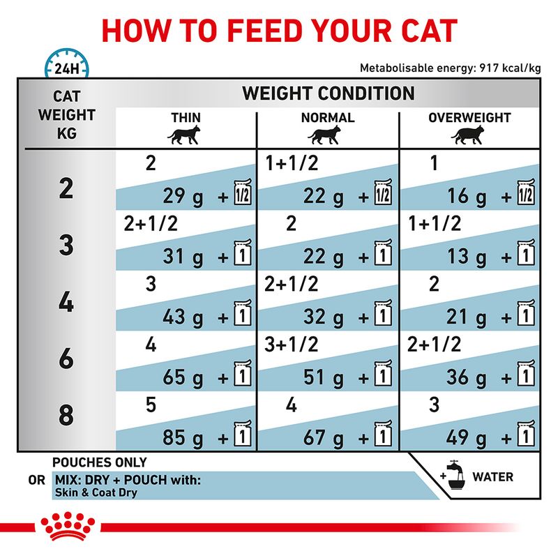 Royal Canin Veterinary Feline Skin & Coat in Gravy || undefined || view 5