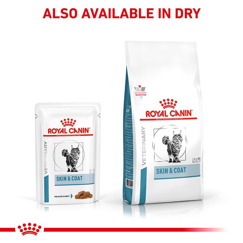 Royal Canin Veterinary Feline Skin & Coat in Gravy || undefined || view 7
