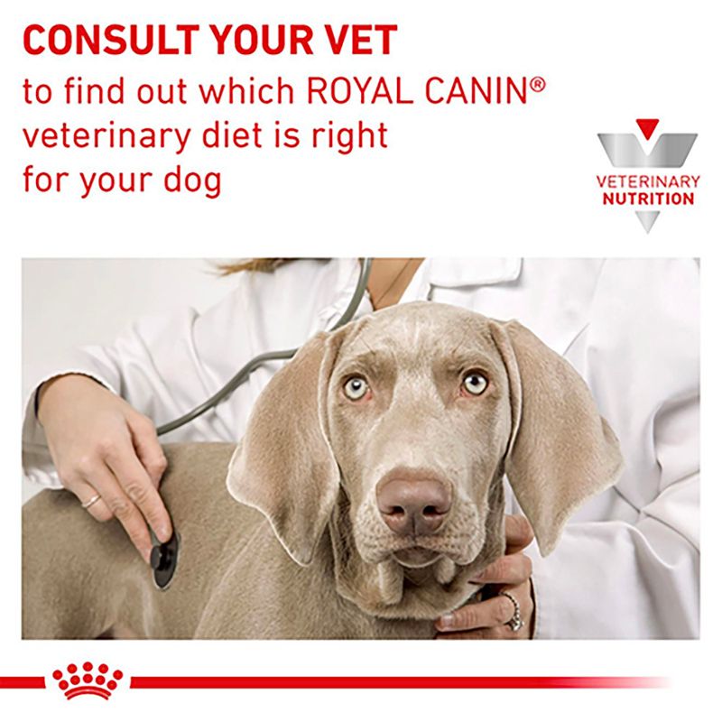 Royal Canin Veterinary Dog - Renal Loaf || Royal Canin Veterinary Diet || view 4