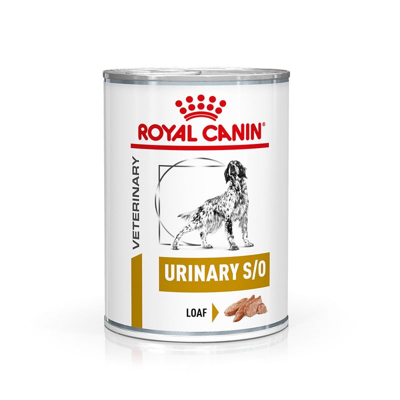Royal Canin Veterinary Dog - Urinary S/O Loaf || Royal Canin Veterinary Diet || view 1
