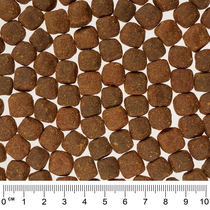 Rocco Mealtime - Beef || Rocco || view 4