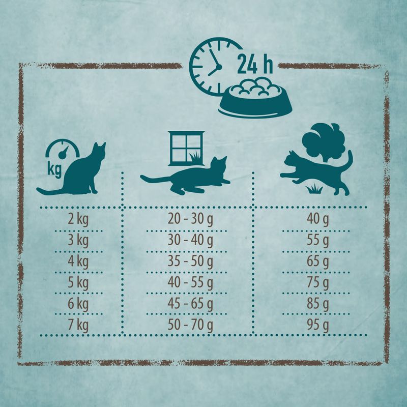 Rosie's Farm Fisherman's Medley with Salmon & Sweet Potato || Rosie's Farm || view 4