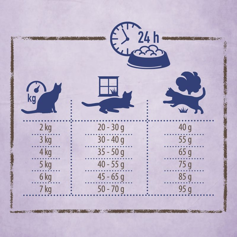 Rosie's Farm Adult Farmer's Delight with Turkey & Sweet Potato || Rosie's Farm || view 4