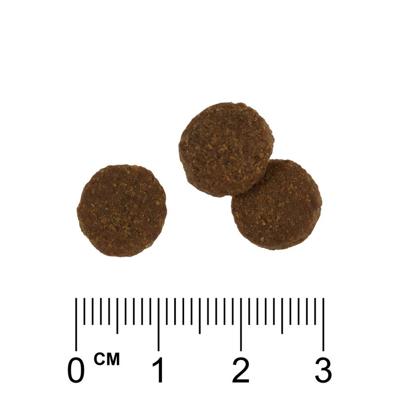 Rosie's Farm Adult Farmer's Delight with Turkey & Sweet Potato || Rosie's Farm || view 6