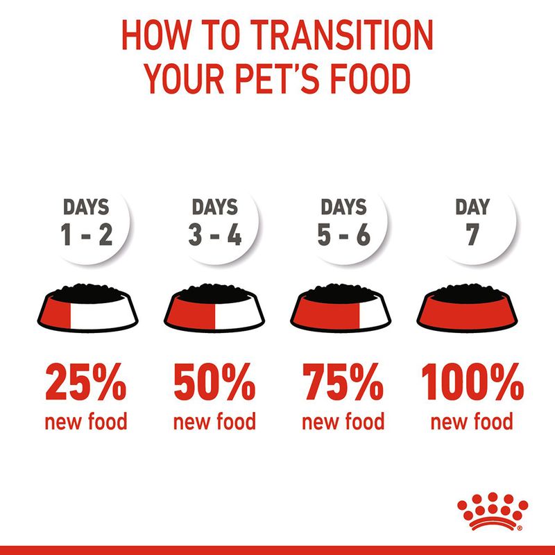 Royal Canin Sterilised Kitten in Jelly || Royal Canin || view 10