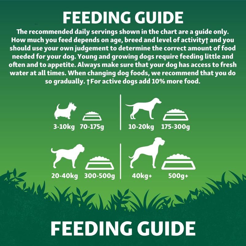 Harringtons Adult Grain Free with Superfoods Dry Dog Food - Chicken || Harringtons || view 6