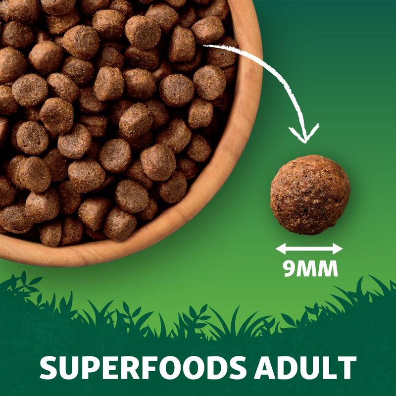 Harringtons Adult Grain Free with Superfoods Dry Dog Food - Salmon || Harringtons || view 3