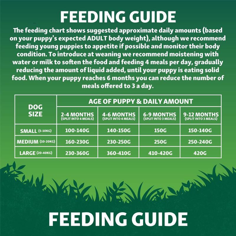 Harringtons Puppy Grain-Free with Superfoods Dry Dog Food - Chicken || Harringtons || view 6