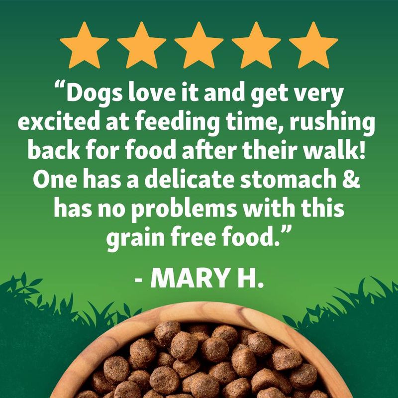 Harringtons Puppy Grain-Free with Superfoods Dry Dog Food - Chicken || Harringtons || view 7