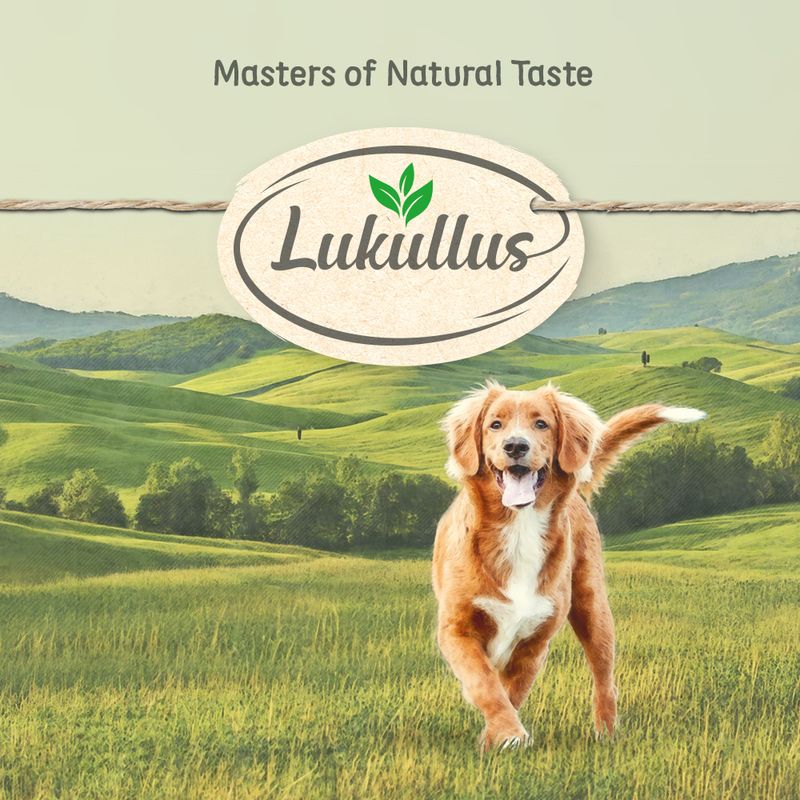 Lukullus Adult Duck & Veal - Grain-Free || Lukullus || view 6