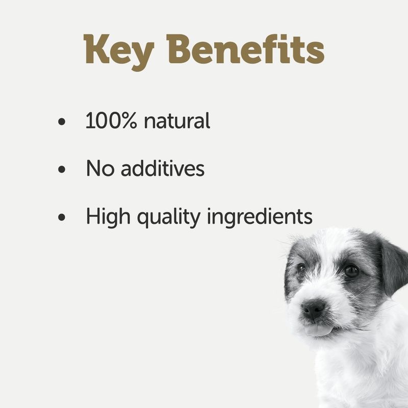 Applaws Puppy Taste Toppers in Broth 6 x 156g || Applaws || view 7