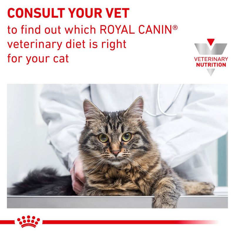 Royal Canin Veterinary Cat - Gastrointestinal Fibre Response in Gravy || undefined || view 10