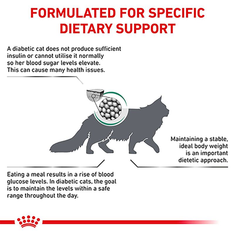 Royal Canin Veterinary Cat - Diabetic DS 46 || Royal Canin Veterinary Diet || view 5