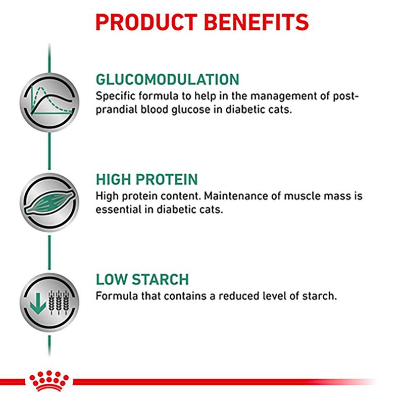 Royal Canin Veterinary Cat - Diabetic DS 46 || Royal Canin Veterinary Diet || view 6