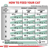 Royal Canin Veterinary Cat - Diabetic DS 46 || Royal Canin Veterinary Diet || view 7