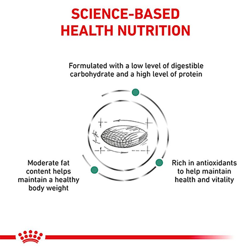 Royal Canin Veterinary Cat - Diabetic DS 46 || Royal Canin Veterinary Diet || view 10