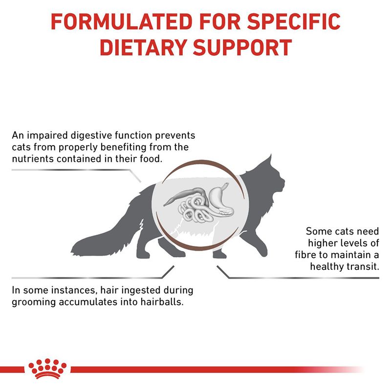 Royal Canin Veterinary Cat - Gastrointestinal Hairball || Royal Canin Veterinary Diet || view 4
