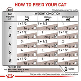 Royal Canin Veterinary Cat - Gastrointestinal in Gravy || undefined || view 6