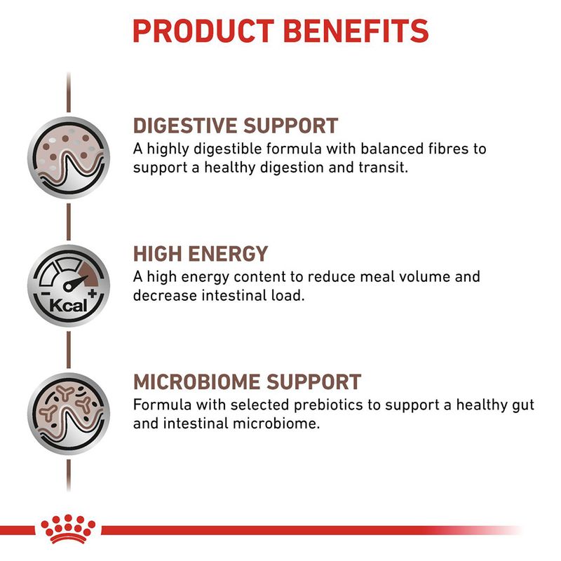 Royal Canin Veterinary Canine Gastrointestinal Loaf || Royal Canin Veterinary Diet || view 3