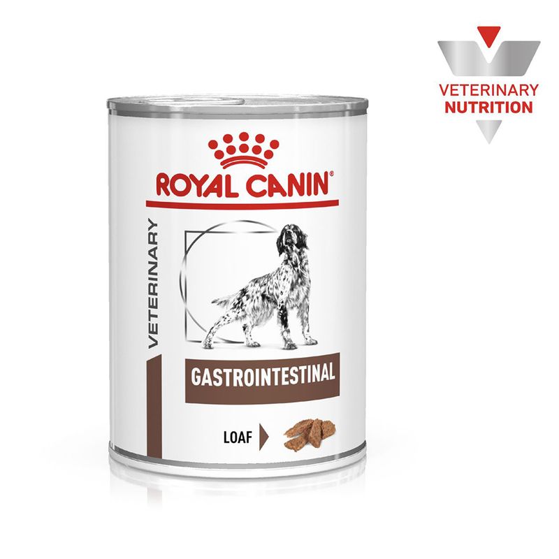 Royal Canin Veterinary Canine Gastrointestinal Loaf || Royal Canin Veterinary Diet || view 1