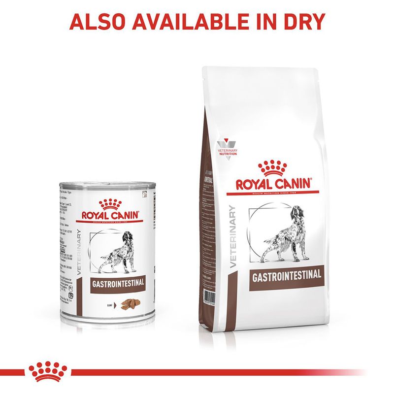 Royal Canin Veterinary Canine Gastrointestinal Loaf || Royal Canin Veterinary Diet || view 6