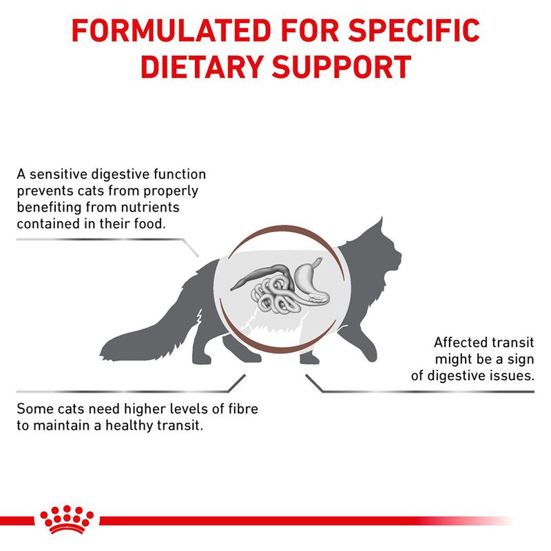 Royal Canin Veterinary Cat - Gastrointestinal Fibre Response in Gravy || undefined || view 5