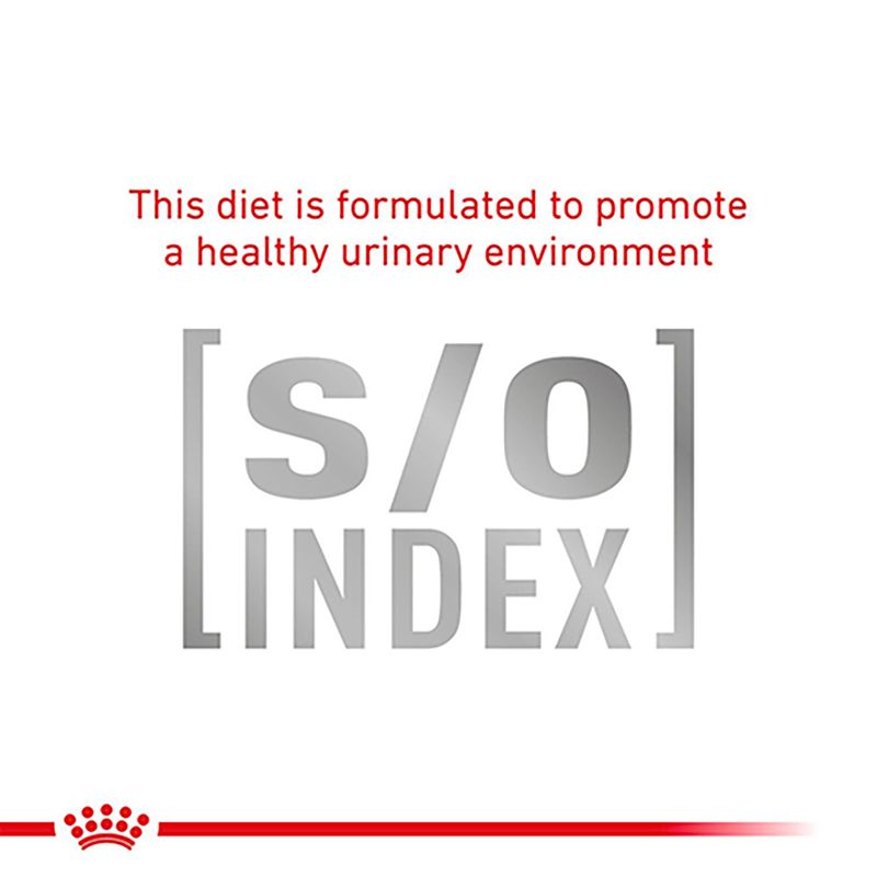 Royal Canin Veterinary Cat - Diabetic DS 46 || Royal Canin Veterinary Diet || view 11