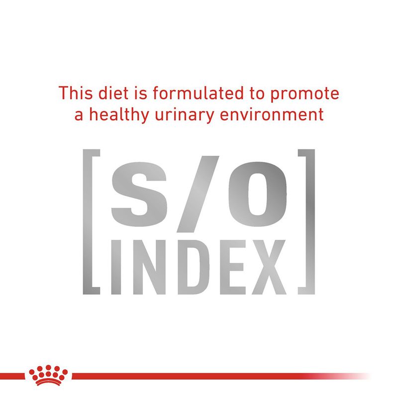 Royal Canin Veterinary Cat - Gastrointestinal Moderate Calorie in Gravy || undefined || view 6