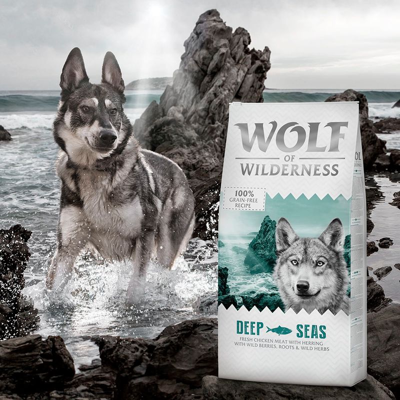 Wolf of Wilderness Adult "Deep Seas" - Herring || Wolf of Wilderness || view 5