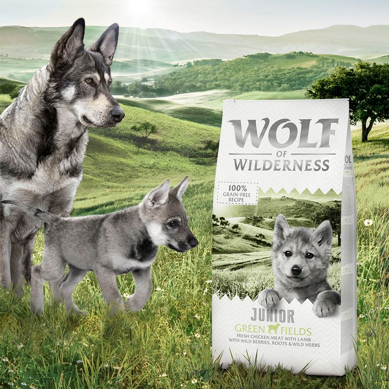 Wolf of Wilderness Junior 'Green Fields' - Lamb || Wolf of Wilderness || view 5