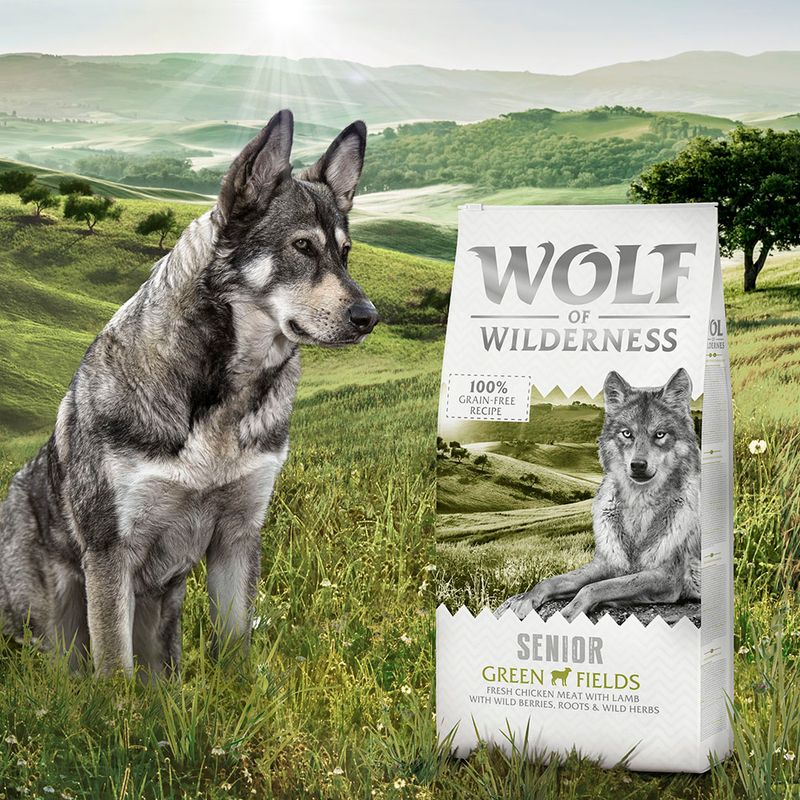 Wolf of Wilderness Senior "Green Fields" Lamb - Grain-Free || Wolf of Wilderness || view 5