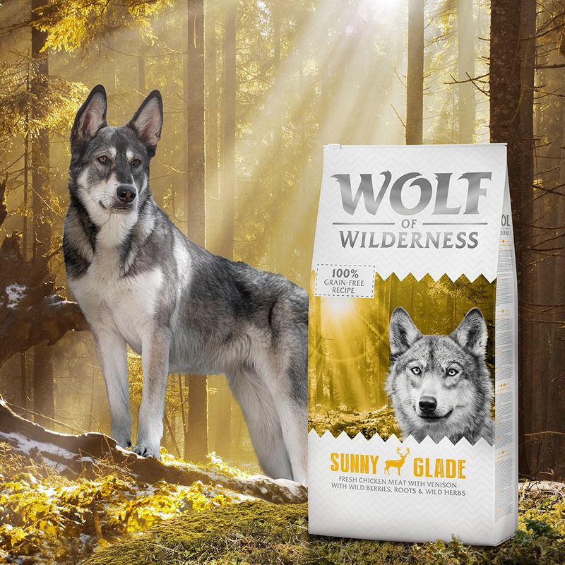 Wolf of Wilderness Adult "Sunny Glade" - Venison || Wolf of Wilderness || view 5