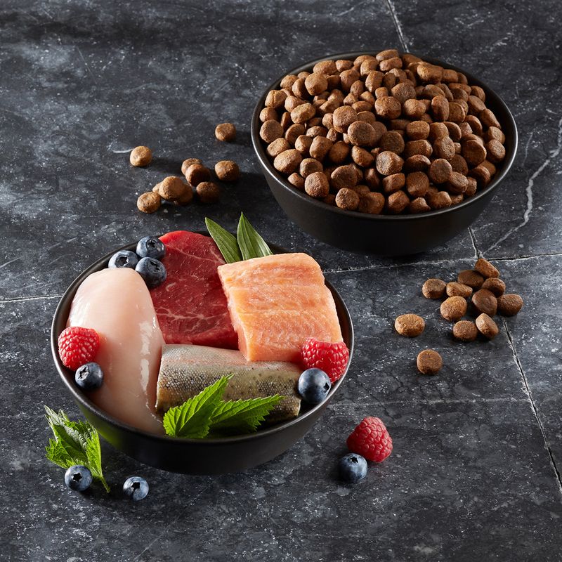 Wolf of Wilderness Adult "Blue River" - Salmon || Wolf of Wilderness || view 7